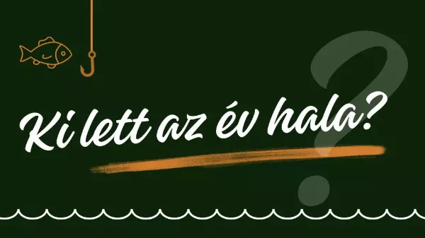 Ki lett az év hala 2024-ben?